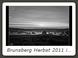 Brunsberg Herbst 2011 im Nebel